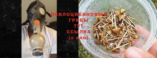jwh Верея