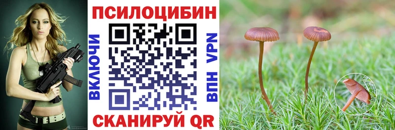 Псилоцибиновые грибы мухоморы  KRAKEN ссылки  Ядрин 